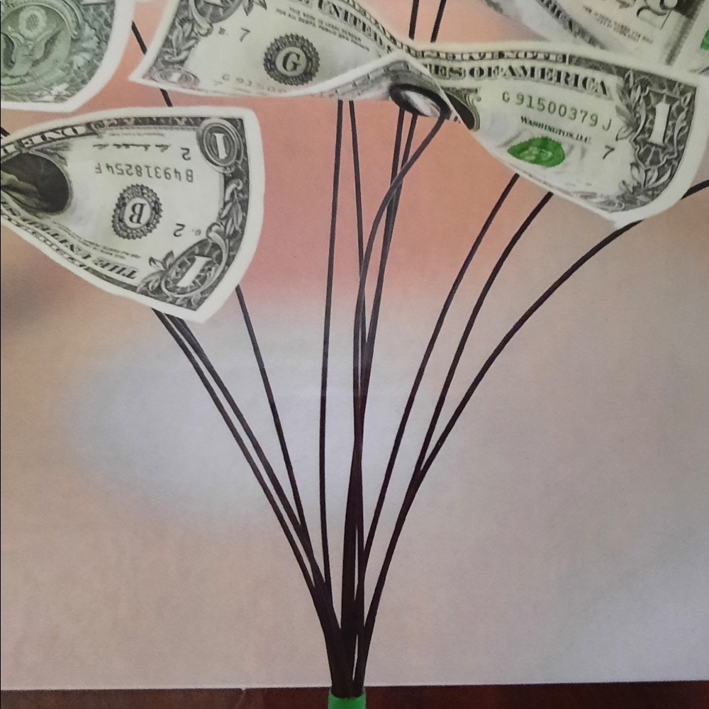 Tabletop Money Tree - Picture 2 of 2